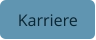 Karriere