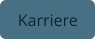 Karriere