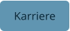 Karriere