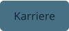 Karriere