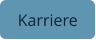 Karriere